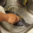 해동초밥 이미지