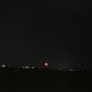 골든카츠 이미지