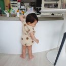 베이비카페핑크코끼리 이미지