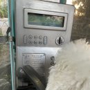 나나의 하루 이미지