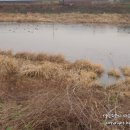 고니농장 이미지