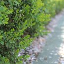 천국은불타고있다 이미지