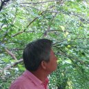 고은가든 이미지