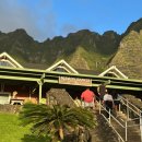 김씨네민박 | 하와이 가족여행 2일차 쿠알로아랜치 정글투어에서 생긴 일