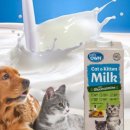 루이펫독 이미지