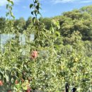 양양자동차공업사 이미지