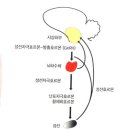 한마음크리닉 이미지