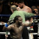 B.F boxing 이미지