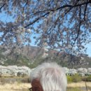 선연건설 이미지