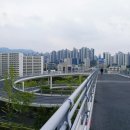 희망대공원 물놀이장-1 이미지