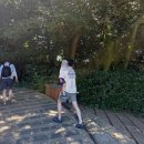 에덴관광농원 | [경남_거제] 가볼만한곳 추천 &lt;외도 보타니아&gt; 한여름 아이랑 (가는법, 입장료, 카페, 준비물)