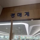 임차권등기명령 보정 후기: 배당요구서 사본 미션 클리어!