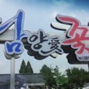 담양愛꽃 이미지