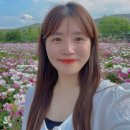 더예쁜핏