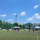 [포포투 김태륭 칼럼] 유소년 축구대회, 내가 잘 못 알고 있는걸까?? 이미지