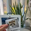 하동농수산물 | 하동 케이블카 카페 무인다방 하동군 농수산물특판장 여행 기념품 녹차 선물