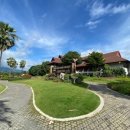 그린벨리 이미지