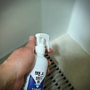 거미대문 이미지