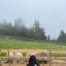 흥일목장 이미지