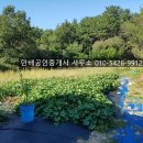 만배공인중개사사무소 이미지