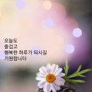 58년 개띠 “지금이 가장 불안해” 70년 개띠 “언제 도태될지 몰라” 94년 개띠 “미래도 희망도 없어” 이미지