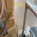 캐나다 ~D+1 출국, LA 경유, 워크 퍼밋, SIN 넘버 발급, Photo ID 만들기, 도서관 프레스토 카드 무료