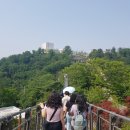 메트로여행사