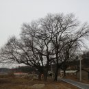 축현3리 이미지