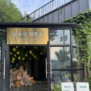 숲속 아지트 이미지