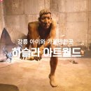 하슬라에코 | 강릉 아이와 가볼만한곳 하슬라아트월드 강릉미술관 입장권할인 정보