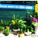 삼성미도공인중개사사무소 이미지