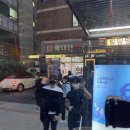 캐롤플라워 이미지