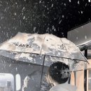 FIT:PLACE | 12월에 입으면 2배 예쁜 겨울 코디 5가지 추천해줄게요!