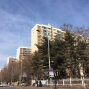 압구정서울공인중개사사무소 이미지