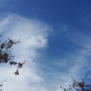 초록슈피아 이미지