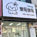 뽀독뽀독 | 안산 와동 애견미용 추천! 강아지미용실 가위컷 뽀독뽀독 후기