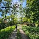 백수광부 이미지