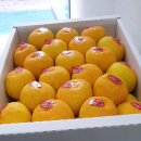 과일아쥬스해 이미지