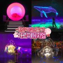 꿈의 향연-2007 | 강릉 실내 놀거리 아르떼뮤지엄 달토끼 특별전 데이트 가볼만한곳