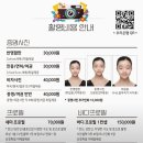 중랑사진관 조군사진관 애묘프로필 촬영 후기