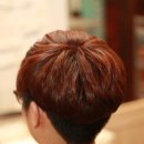 라이트파마 이미지