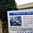 물메초등학교 병설유치원 이미지