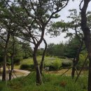 서해전자 이미지