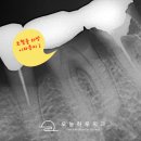 가락시장역 이미지