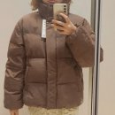 &lt;내돈내산&gt; 게스 패딩 후기 / 가성비 게스 숏패딩 추천