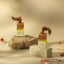 편백나무펜션2 | 피톤치드 편백나무 향 디퓨저 2종 후기, 집·차량 겸용으로 은은했어요