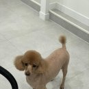 이뻐질개 이미지