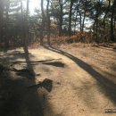 (주)나비원 이미지