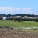 어승생승마장 이미지