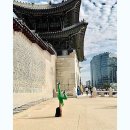 요가한